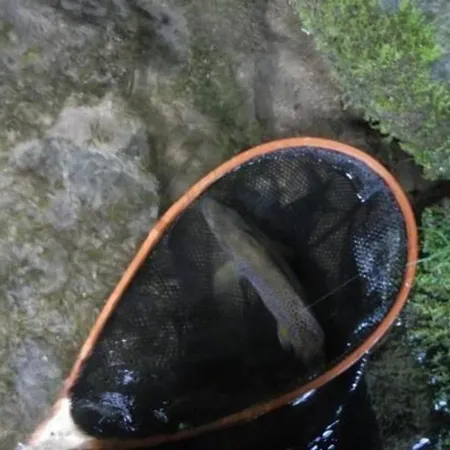 Flyfishers-inn Sachrang Incl Fliegenfischen דירה